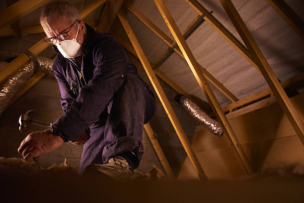 Insulation Replacement Services in Carver, MN